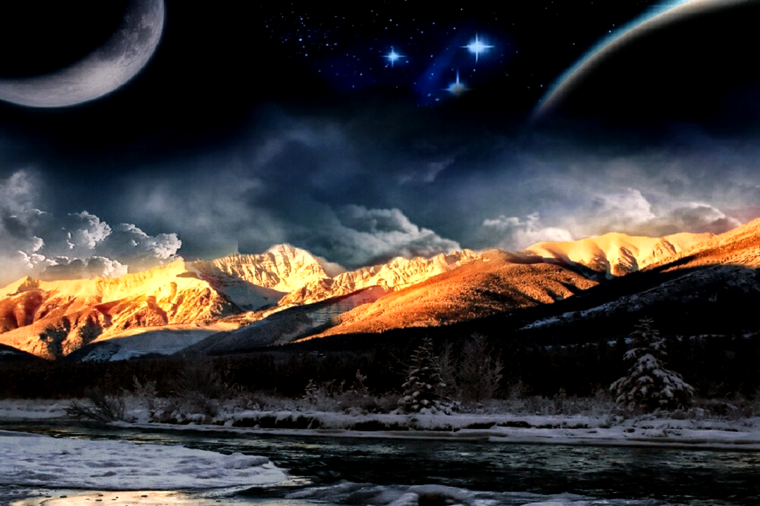 Pet Background