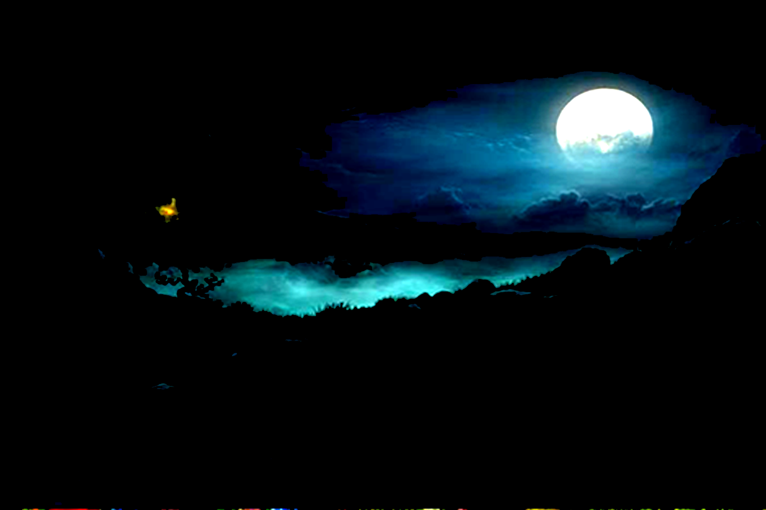Pet Background