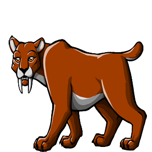 Pet Image