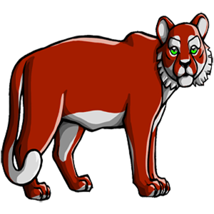 Pet Image