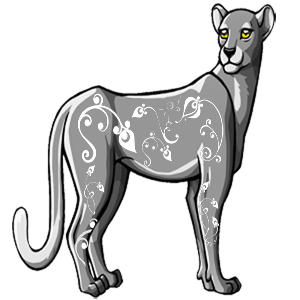Pet Image